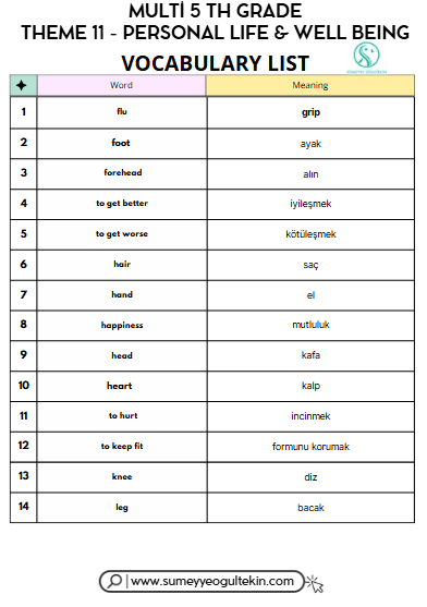 MULTI 5 - THEME 11- VOCABULARY LİST